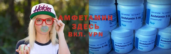ГАЛЛЮЦИНОГЕННЫЕ ГРИБЫ Губаха