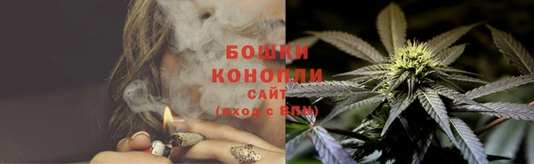 ПСИЛОЦИБИНОВЫЕ ГРИБЫ Сатка