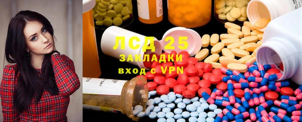 ПСИЛОЦИБИНОВЫЕ ГРИБЫ Сатка
