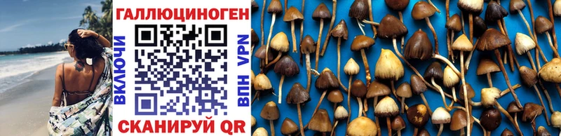 Галлюциногенные грибы Cubensis  сайты даркнета состав  Карпинск  сколько стоит 