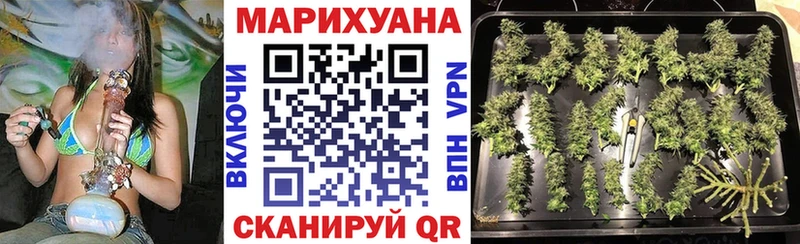 Канабис сатива  где можно купить   Карпинск 
